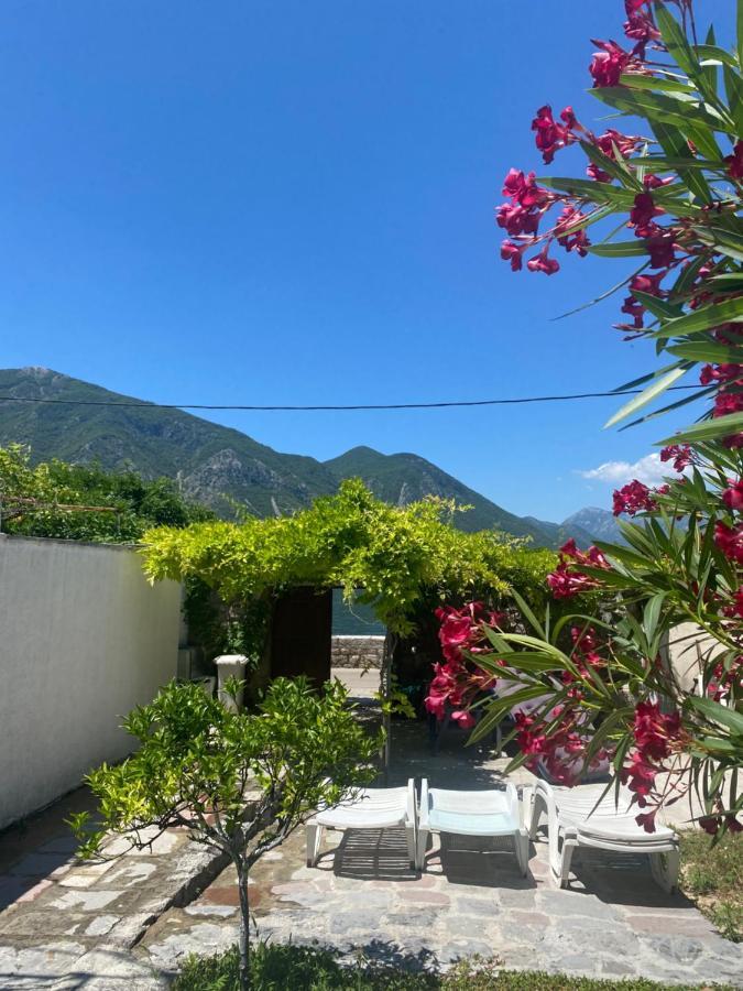 Mansarda Apartment Kotor Luaran gambar